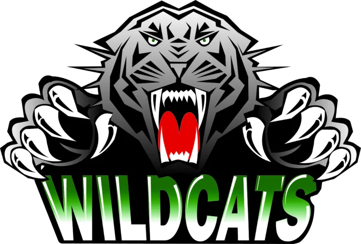 Alpena boys cross-country takes fourth at Benzie Pete Moss Invitational